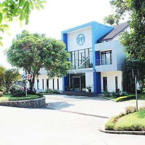 Pp University